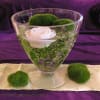 monroe glass bowl - Image 2 of 0