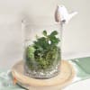 Glass cylinder bowl - Image 2 of 0