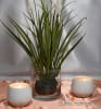 Cattail with Floating Candles Centerpiece Kit - Image 1 of 0