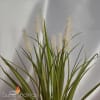 Cattail with Floating Candles Centerpiece Kit - Image 5 of 0
