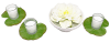 Lotus Leaf & Rose Candle Centerpiece Kit - Image 4 of 0