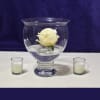 Floating Flower in Kate Bowl Centerpiece Kit - Image 1 of 0
