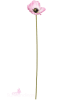 Pink Poppy Stem - Image 3 of 0
