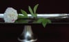 Artificial 28" Peony stem - Image 2 of 0