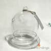 All Glass Dome Terrarium - Image 2 of 0
