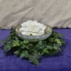English Ivy Wreath - Image 1 of 0