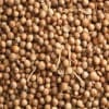 Coriander Seed Whole<br>16 oz Net Wt. - Image 1 of 0