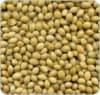 Coriander Seed Whole<br>16 oz Net Wt. - Image 2 of 0