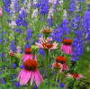 Early Springtime Breeze Aroma - Oil Based - Image 2 of 0