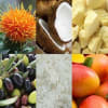 Lip Balm Base 4 - Vegan - Image 1 of 0