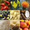 Lip Balm Base 5 - Anti-Aging - All Natural - Image 1 of 0