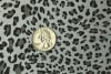 Silver Leopard - Image 5 of 0