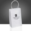 Paper Gift Bag, Embassy Suites 1229233 - Image 1 of 0