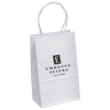 Paper Gift Bag, Embassy Suites 1229233 - Image 2 of 0