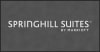 SpringHill Suites front desk floor mat 4' x 8', 778-01-48-26 - Image 2 of 0
