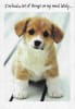 Recycled Paper Greetings Humor Thinking of You Greeting Card, Funny Thinking of You Card - Image 1 of 0