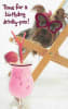 ORDER 9-132-Pkt 199-132-Humor Birthday - Image 1 of 0