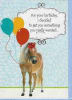 ORDER 9-144-Pkt 199-144-Humor Birthday - Image 1 of 0