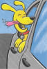 ORDER 9-161-Pkt 199-161-Humor Birthday - Image 1 of 0