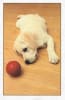 ORDER 9-937-Pkt 199-937-Humor Get Well - Image 1 of 0