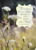Pkt #3-994-Sympathy - Image 1 of 0