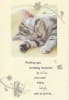 American Greetings Birthday Card - Image 1 of 0