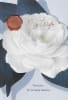 American Greetings Wife Anniversary - Image 1 of 0