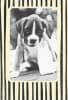 American Greetings Humor Friendship Card - Image 1 of 0