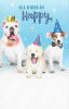 American Greetings Birthday Card - Image 1 of 0