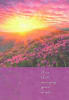 American Greetings Congratulations Greeting Card - Image 1 of 0