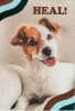 American Greetings Get Well Care & Concern Greeting Card - Image 1 of 0