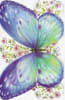 Pre-priced Birthday Cards, Value Priced Birthday Cards - Image 1 of 0