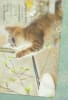 Pre-priced Birthday Cards, Value Priced Birthday Cards - Image 1 of 0