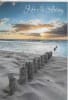 Pre-priced Sympathy Cards, Value Priced Sympathy Cards - Image 1 of 0