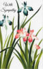 Pre-priced Sympathy Cards, Value Priced Sympathy Cards - Image 1 of 0