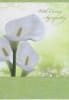 Pre-priced Sympathy Cards, Value Priced Sympathy Cards - Image 1 of 0