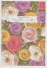 Pre-Priced Daughter-In-Law Birthday Cards, Value Priced Daughter-In-Law Birthday Cards - Image 1 of 0
