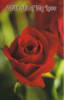 Pkt #9-724-Love/Romance - Image 1 of 0