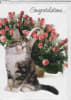 Pkt #9-839-Congratulations - Image 1 of 0