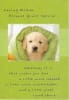 American Greetings Humor Get Well Care & Concern Greeting Card - Image 1 of 0