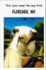 Your Town Birthday Humor Greeting Card - Image 1 of 0