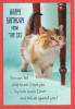 SO016-Birthday from Cat - Image 1 of 0