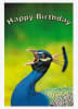 Wildlife Greeting Card - Image 1 of 0