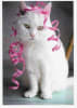 Wildlife Greeting Card - Image 1 of 0