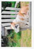 Wildlife Greeting Card - Image 1 of 0