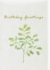Wildlife Greeting Card - Image 1 of 0