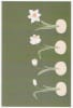 Wildlife Greeting Card - Image 1 of 0
