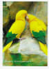 Wildlife Greeting Card - Image 1 of 0