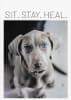 Wildlife Greeting Card - Image 1 of 0