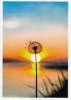 Wildlife Greeting Card - Image 1 of 0